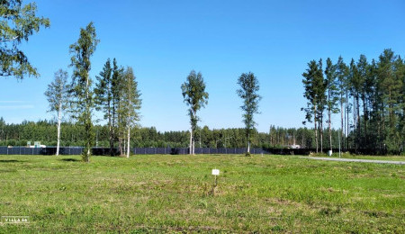 Участок № 10 в поселке Аист, площадь 11.31 соток