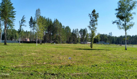 Участок № 12 в поселке Аист, площадь 13.53 соток