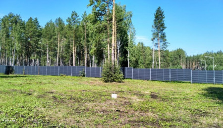 Участок № 14 в поселке Аист, площадь 10.52 соток