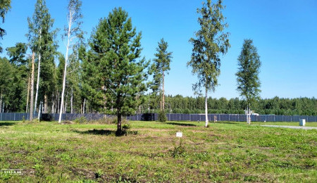 Участок № 15 в поселке Аист, площадь 12.01 соток