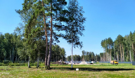 Участок № 19 в поселке Аист, площадь 10.52 соток