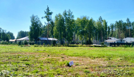 Участок № 31 в поселке Аист, площадь 12.22 соток