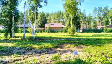 Участок № 36 в поселке Аист, площадь 11.59 соток