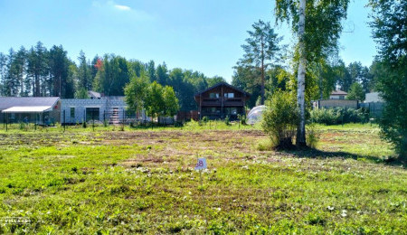 Участок № 38 в поселке Аист, площадь 8.46 соток