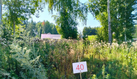 Участок № 40 в поселке Аист, площадь 8.49 соток