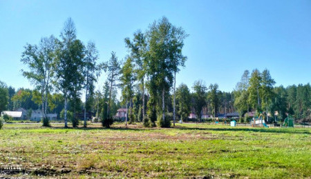 Участок № 51 в поселке Аист, площадь 8.83 соток