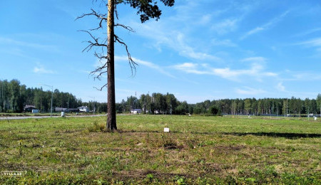 Участок № 57 в поселке Аист, площадь 11.54 соток