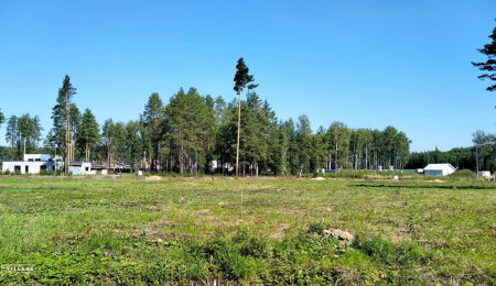 Участок № 58 в поселке Аист, площадь 10.47 соток