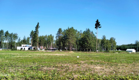 Участок № 59 в поселке Аист, площадь 10.47 соток
