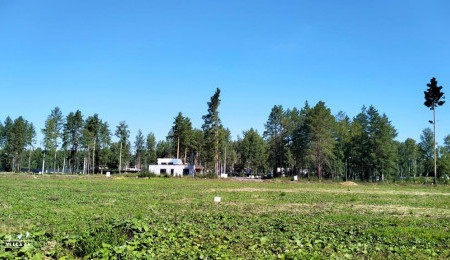 Участок № 60 в поселке Аист, площадь 10.47 соток