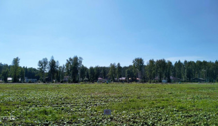 Участок № 80 в поселке Аист, площадь 10.47 соток