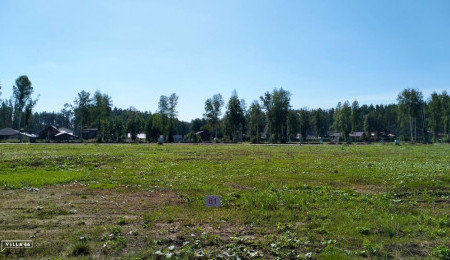 Участок № 81 в поселке Аист, площадь 10.47 соток