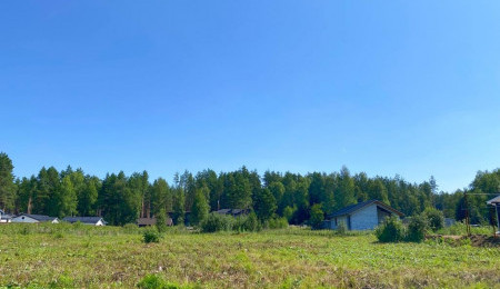 Участок № 16 в поселке Амур, площадь 12.12 соток