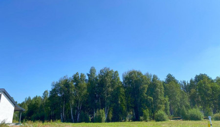 Участок № 19 в поселке Амур, площадь 10.90 соток