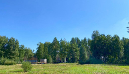 Участок № 21 в поселке Амур, площадь 10.90 соток