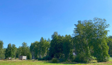 Участок № 22 в поселке Амур, площадь 10.90 соток