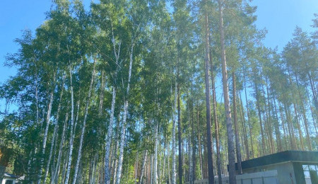 Участок № 36 в поселке Амур, площадь 10.92 соток