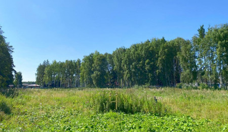 Участок № 100 в поселке Амур, площадь 14.13 соток