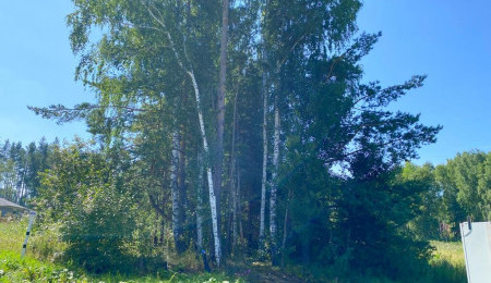 Участок № 101 в поселке Амур, площадь 11.92 соток