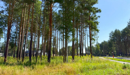 Участок № 42 в поселке Агат, площадь 14.13 соток