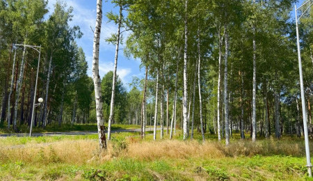 Участок № 43 в поселке Агат, площадь 12.30 соток