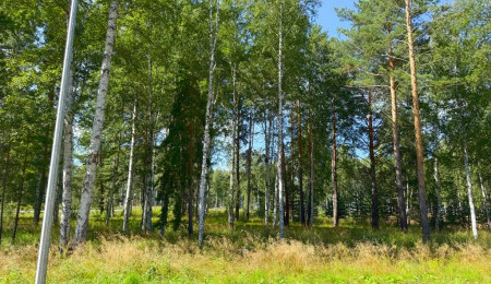 Участок № 44 в поселке Агат, площадь 10.03 соток