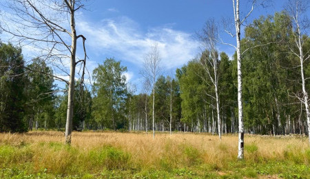 Участок № 46 в поселке Агат, площадь 10.03 соток