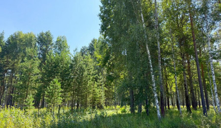 Участок № 52 в поселке Агат, площадь 10.03 соток