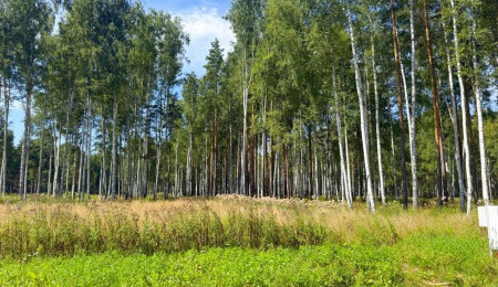 Участок № 58 в поселке Агат, площадь 10.60 соток