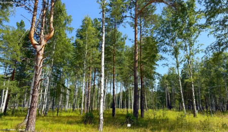 Участок № 73 в поселке Агат, площадь 13.93 соток