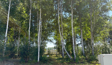 Участок № 4 в поселке Малахит, площадь 10.81 соток