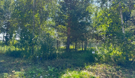 Участок № 5 в поселке Малахит, площадь 14.22 соток