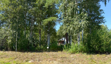 Участок № 8 в поселке Малахит, площадь 10.81 соток