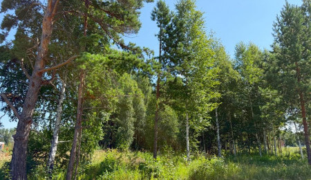 Участок № 21 в поселке Малахит, площадь 10.81 соток