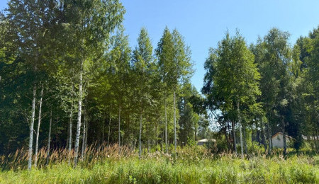 Участок № 22 в поселке Малахит, площадь 10.82 соток