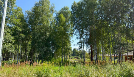 Участок № 23 в поселке Малахит, площадь 10.81 соток