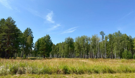 Участок № 40 в поселке Малахит, площадь 9.80 соток