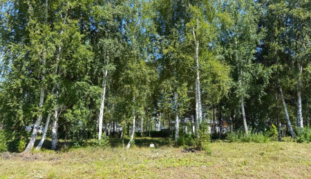 Участок № 73 в поселке Малахит, площадь 9.89 соток