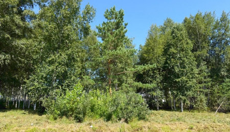 Участок № 74 в поселке Малахит, площадь 9.89 соток