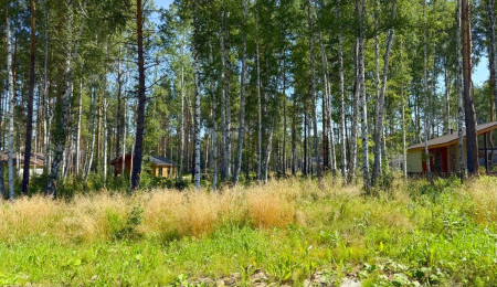 Участок № 11 в поселке Гранат, площадь 9.12 соток