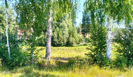 Участок № 58К в поселке Коммерческая земля, площадь 5.83 соток
