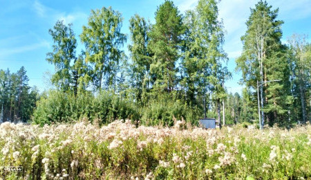 Участок № 107К в поселке Коммерческая земля, площадь 11.92 соток