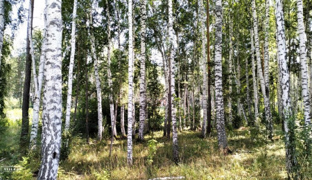Участок № 112К в поселке Коммерческая земля, площадь 7.05 соток