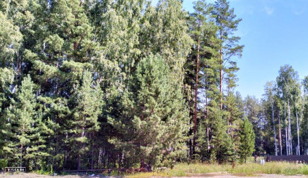 Участок № 114К в поселке Коммерческая земля, площадь 6.98 соток