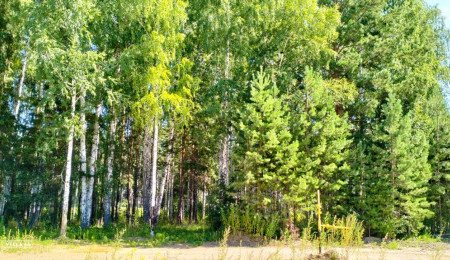 Участок № 113К в поселке Коммерческая земля, площадь 7.42 соток