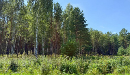 Участок № 53 в поселке Гранат, площадь 18.60 соток