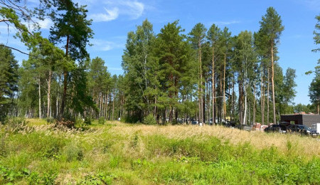 Участок № 75 в поселке Гранат, площадь 13.07 соток