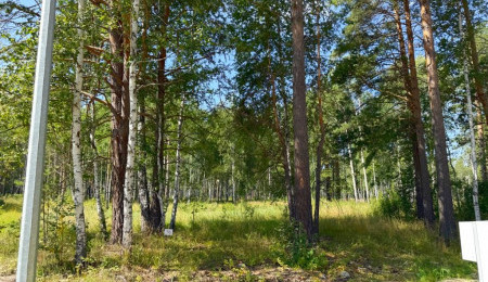 Участок № 76 в поселке Гранат, площадь 9.65 соток