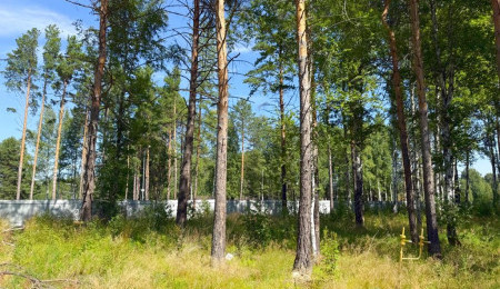 Участок № 103 в поселке Гранат, площадь 12.62 соток