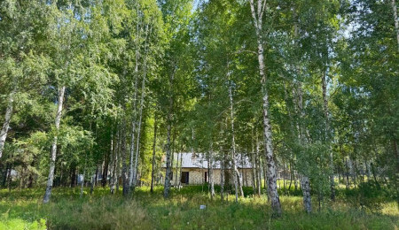 Участок № 113 в поселке Гранат, площадь 9.84 соток